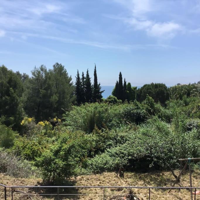 Cabanon Βίλα Carqueiranne Εξωτερικό φωτογραφία
